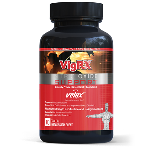 Nitric Oxide Support Nitric Oxide Booster